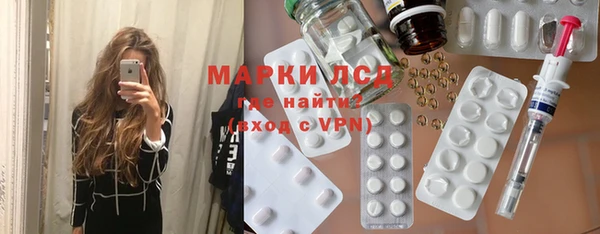 индика Аркадак
