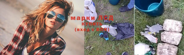 индика Аркадак