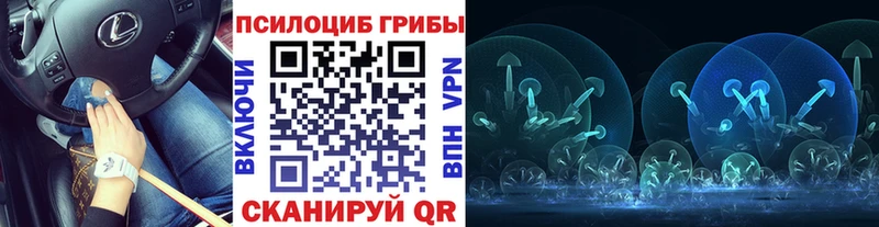 Галлюциногенные грибы прущие грибы  где можно купить наркотик  Бахчисарай 
